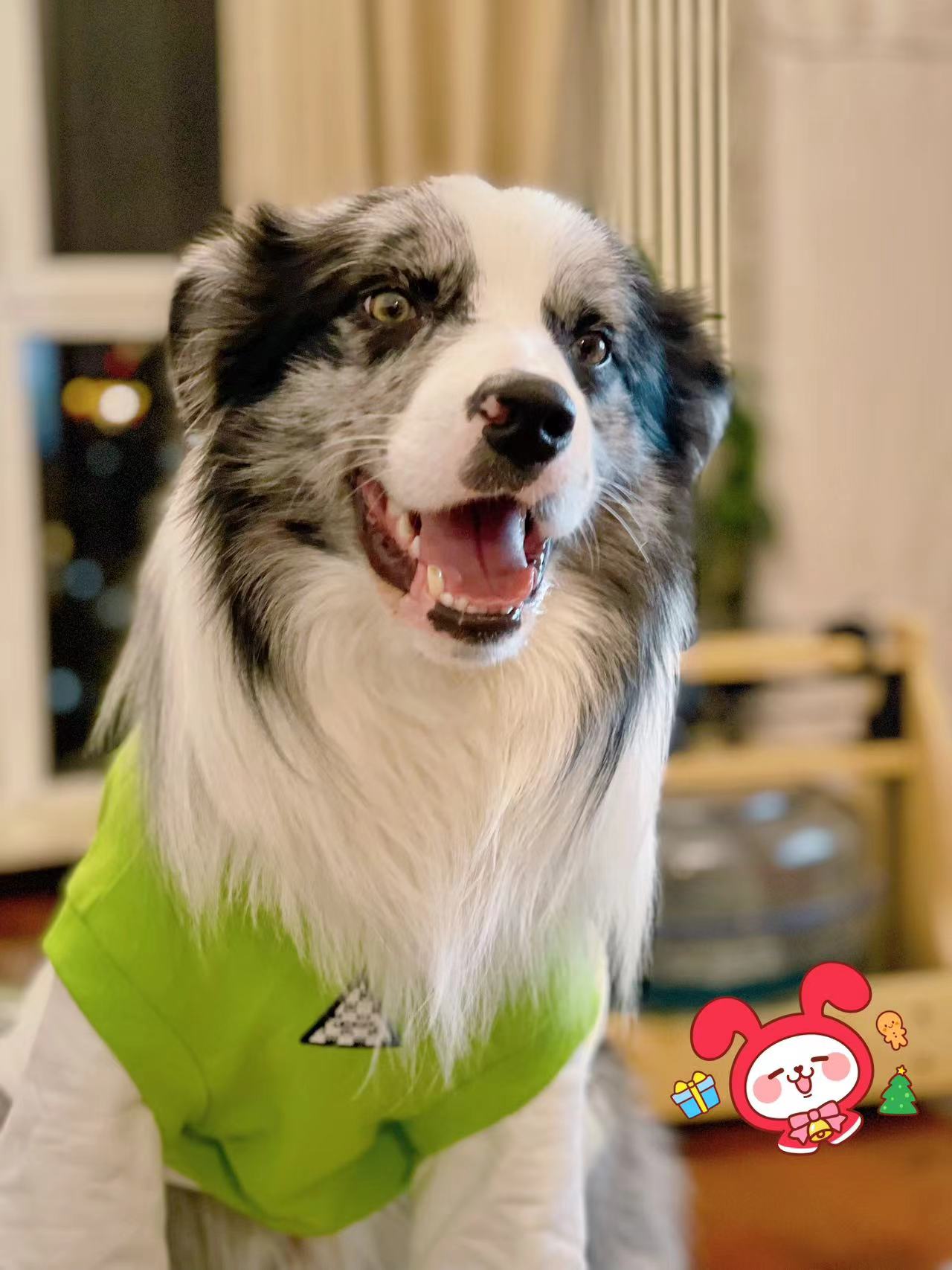 1337 Leet h4ck3r CTTalk 