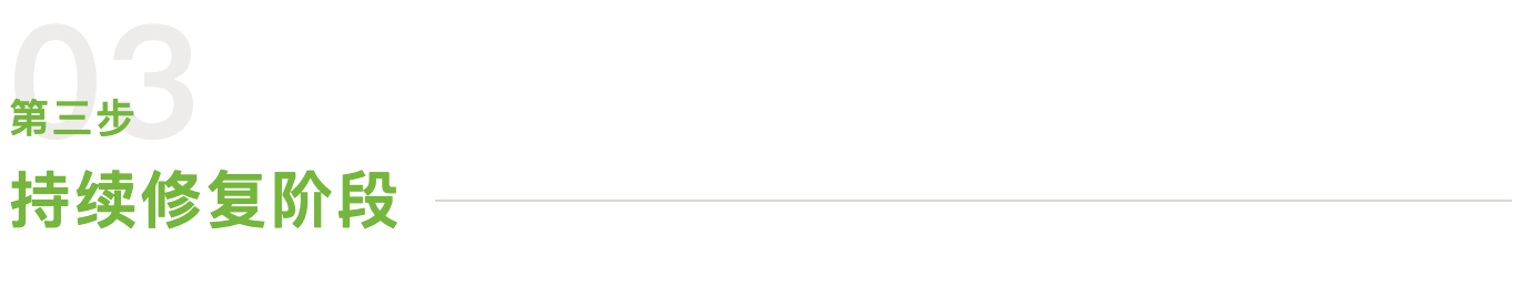 截屏2024-11-25 14.56.39.png